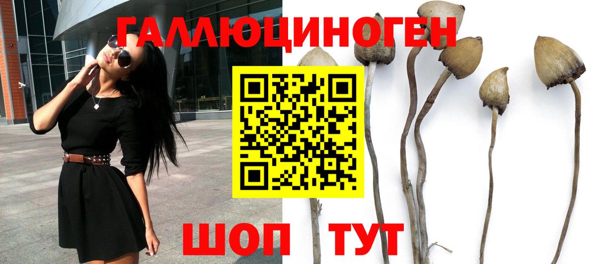 Псилоцибиновые грибы Psilocybine cubensis  Псилоцибиновые грибы мухоморы  Вход с VPN  Киреевск 